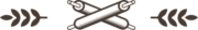 Image module